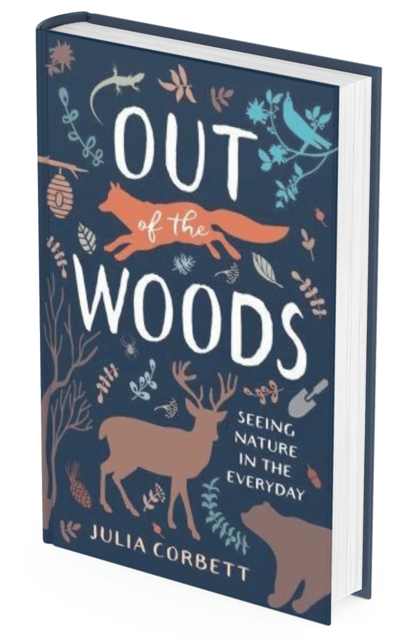 Out of the Woods by Julia Corbett